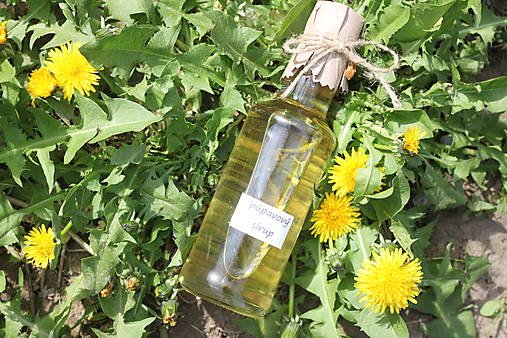 Sirupy - Domáci púpavový sirup 2025 bez konzervantov a bez éčiek  " Púpavový med " - 16532975_