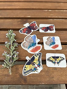 Papier - Motýlia záhrada nálepky - 16535294_