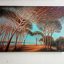 Obrazy - Majestátne stromy 3 (70x50) - 16535006_