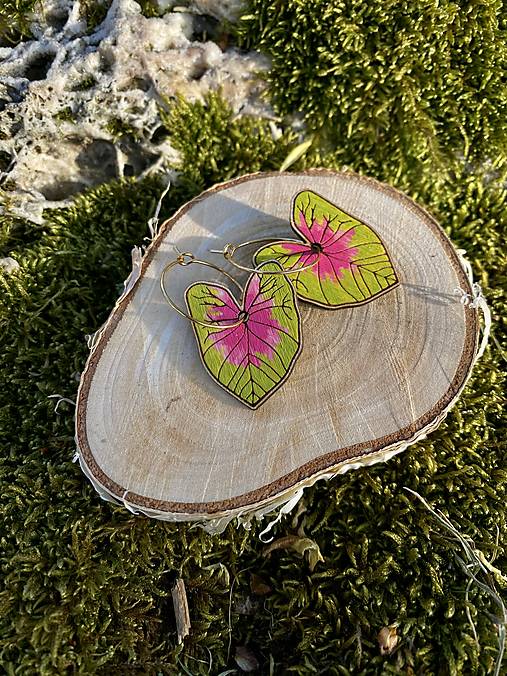 Náušnice - Drevené náušnice CALADIUM kruhy - 16543773_