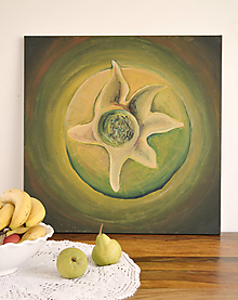 Obrazy - Granátové jabĺčko - 16545536_