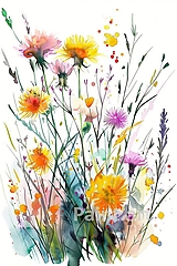 Grafika - Akvarelové lúčne kvety (č.119) - 16549931_