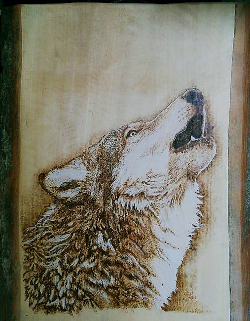 Obrazy - Vlk - Wolf pyrography image - ručne vypaľovaný obraz - hand-burned image - 16550478_