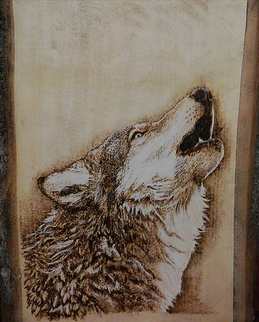 Obrazy - Vlk - Wolf pyrography image - ručne vypaľovaný obraz - hand-burned image - 16550480_