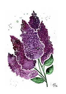Obrazy - Orgovánové kvety - Obraz - 16552583_