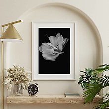 Fotografie - Krása v tulipáne ukrytá - 16555379_