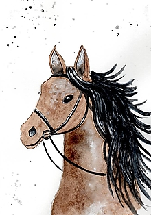 Obrazy - Portrét koňa 1 - Obraz - 16556742_