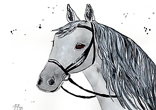 Obrazy - Portrét koňa 2 - Obraz - 16556746_