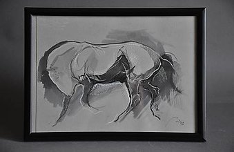 Kresby -  Kôň - kresba - 16559978_