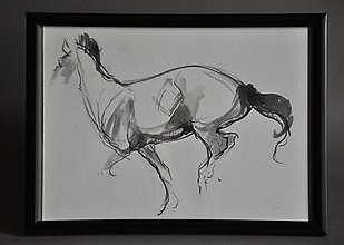 Kresby - kôň - kobinovaná technika - 16560193_