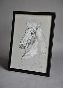 Kresby - Portrét - biely kôň - 16560850_