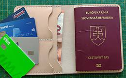 Peňaženky - Púzdro obal na cestovné dokumenty Pas - 16560933_