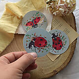 Papier - Nálepky - Lienky - 16562757_