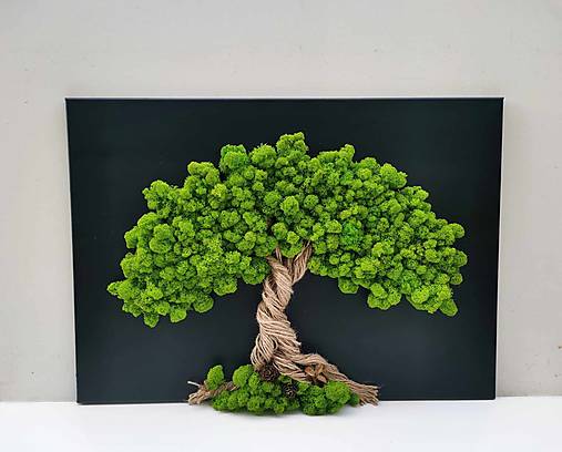 Machový obraz, strom, 50x70