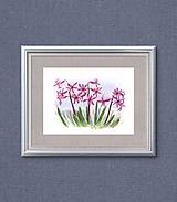 Grafika - Hyacinty, Jarné kvety - 16567932_