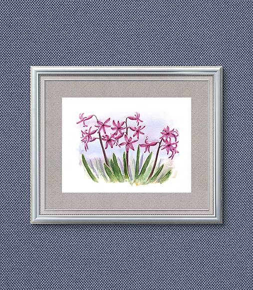 Hyacinty, Jarné kvety