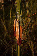 Náušnice - Náušnice z exotického dreva - 16568677_