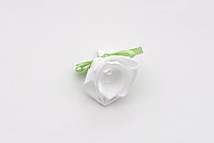 Pierko bielo-svetlo zelené ruža