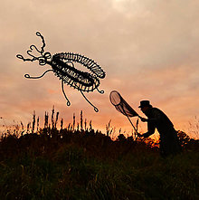 Dekorácie - Chrobáčik, zo života hmyzu - 16574215_
