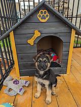 Pre zvieratá - Kosť - menovka pre psa na búdu/pelech FOoFO - 16582306_