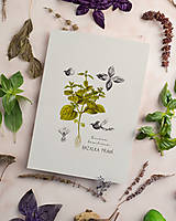 Obrazy - do 31.7. / 15% ZĽAVA // Botanický obraz A4 // Giclée art print - 16583819_