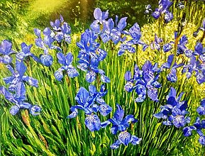 Obrazy - Očarujúce irisy. - 16590116_