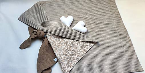 Detská deka Nr.564 (Deka vafle a bavlnená látka)