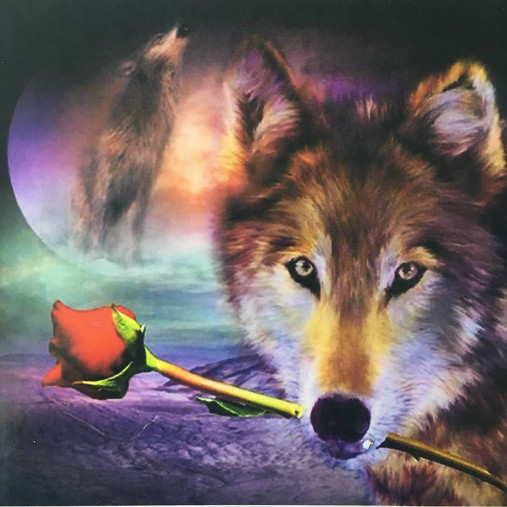 AKCIA!!! Maľovanie podľa čísel na plátno na ráme, 50x40 cm (vlk s ružou)