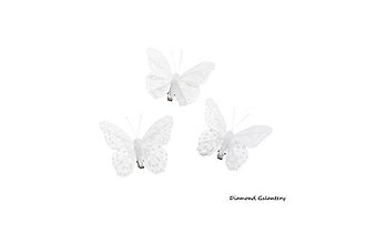 Galantéria - Motýlik na klipe - Biely - 16602283_