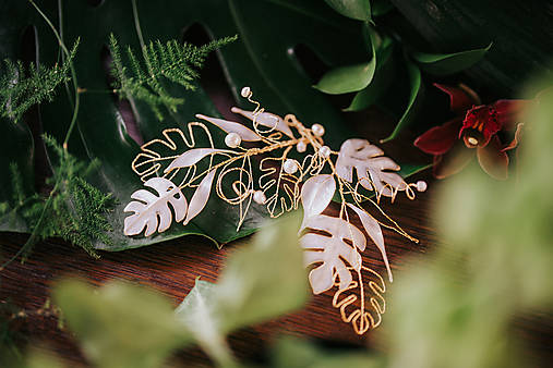 Ozdoba do vlasov Monstera