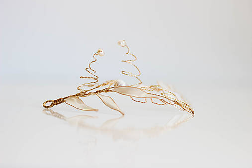 Ozdoba do vlasov Monstera (Variant 01)