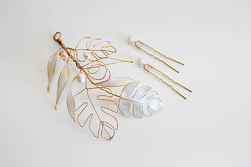 Ozdoba do vlasov Monstera (Variant 01)