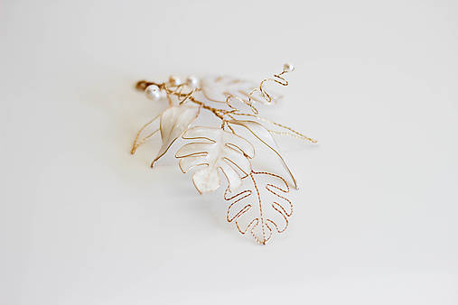 Ozdoba do vlasov Monstera (Variant 02)