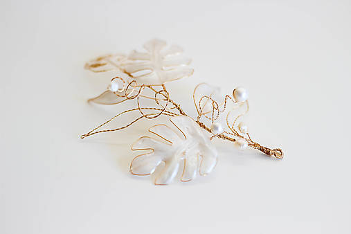 Ozdoba do vlasov Monstera (Variant 02)