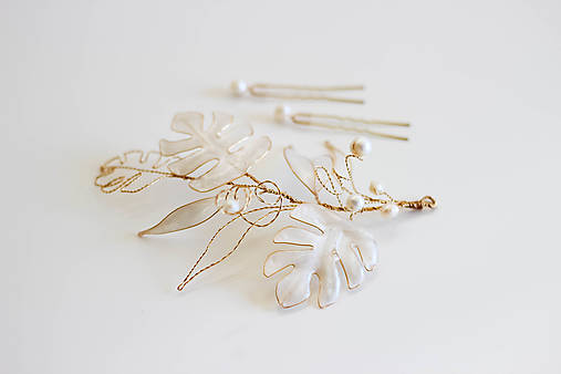 Ozdoba do vlasov Monstera (Variant 02)