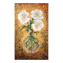 Obrazy - Biele kvety (55x35,5) - 16602141_
