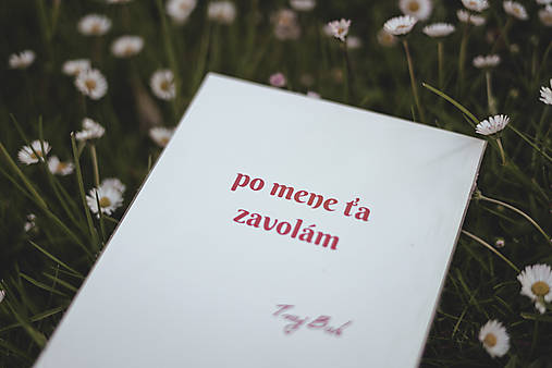 Láskavá grafika #5 Po mene ťa zavolám