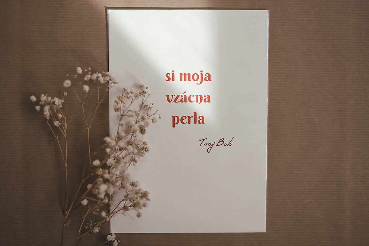 Láskavá grafika #2 Si moja vzácna perla