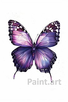 Grafika - Motýľ (č.153) - 16608721_