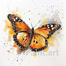 Grafika - Motýľ (č.151) - 16608726_