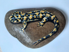 Dekorácie - Maľovaný kameň - salamandra - 16610676_