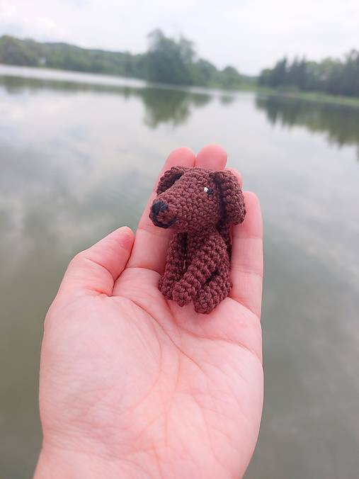 Mini havko