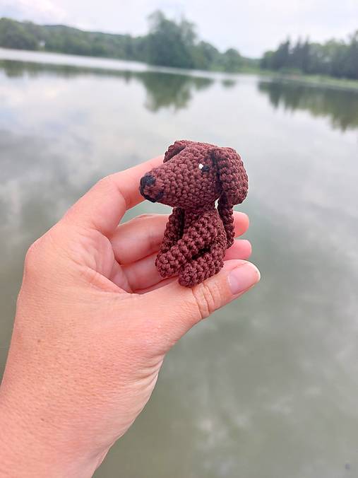 Mini havko