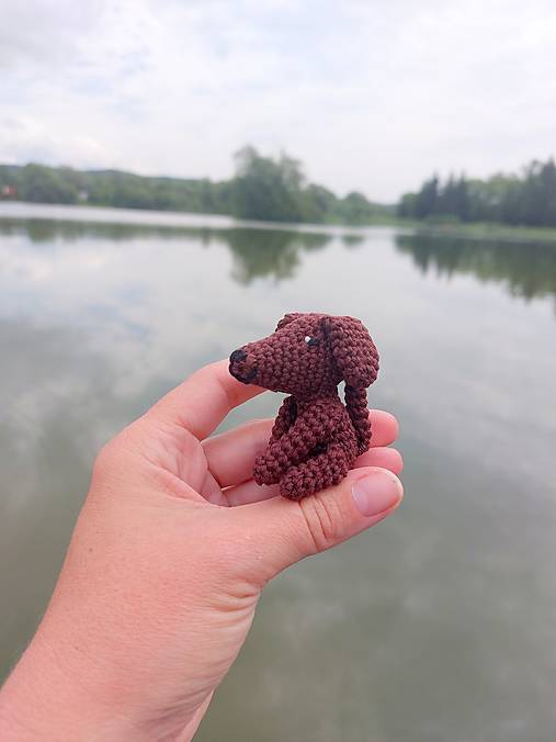 Mini havko