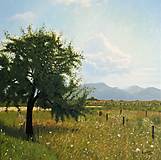 Obrazy - Obraz "Strom na lúke" - 16638590_