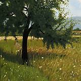 Obrazy - Obraz "Strom na lúke" - 16638593_