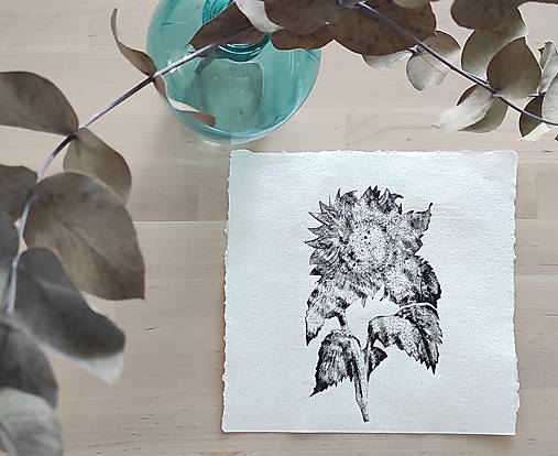 Grafika - Slnečnica - 16646147_