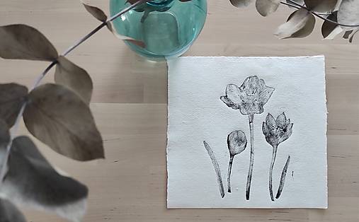 Grafika - Šafran - 16646336_