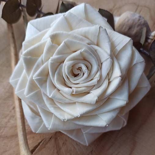 Polotovary - Ruža záhradná - 16646347_