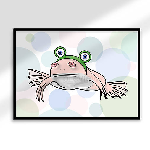Grafika - Najžabšia žaba poster (bublinky) (pazúrnatka vodná drápatka vodní)  - 16677097_